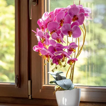 Nyaraló Przytulne W Klimatycznym Domu Nad Bialka W Otoczeniu Gorskich Krajobrazow By Renters Bystra