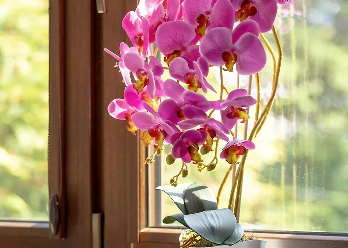 Σπίτι διακοπών Przytulne W Klimatycznym Domu Nad Bialka W Otoczeniu Gorskich Krajobrazow By Renters Bystra (Bielsko)